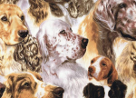 Best of Show - Stacked Spaniels